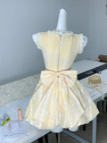 Niulatu Yellow A-Line V-Neck Lace Tulle Short Party Dress Birthday Dress HZ1031