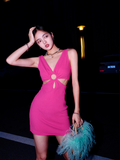 Niulatu V-neck Sheath Fashion Party Dress Sweet Homecoming Dress HZ1031