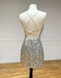 Niulatu Silver V-neck Bodycon Sequin Short Party Dress Backless Homecoming Dress with Tassels HZ1031
