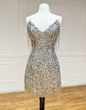 Niulatu Silver V-neck Bodycon Sequin Short Party Dress Backless Homecoming Dress with Tassels HZ1031
