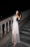 Niulatu V-neck A-Line Pleated Long Evening Gowns Elegant Birthday Prom Dresses HZ1031