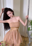 Niulatu Champagne Graduation Dress Elegant A-Line Short Birthday Dress Party Dress HZ1031