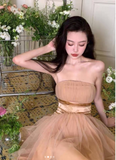 Niulatu Champagne Graduation Dress Elegant A-Line Short Birthday Dress Party Dress HZ1031