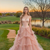 Niulatu Blush Pink Ball Gown Tulle Quinceanera Dress Sweet 16 Dress Sweetheart Long Prom Dresses HZ1031