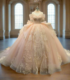 Niulatu Pink Off-the-shoulder Ball Gown Birthday Dress Tulle Beaded Long Prom Dress Applique Quinceanera Dress HZ1031