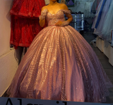 Niulatu Off-the-Shoulder Pink Ball Gown Birthday Dress Tulle Sparkly Long Prom Dress Applique Quinceanera Dress HZ1031