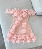 Niulatu Pink A-Line Party Dress Off-shoulder Tulle Sequins Three-dimensional Applique Homecoming Outfit Sweet 16th Birthday Dress HZ1031