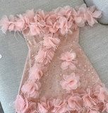 Niulatu Pink A-Line Party Dress Off-shoulder Tulle Sequins Three-dimensional Applique Homecoming Outfit Sweet 16th Birthday Dress HZ1031