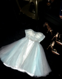 Niulatu Strapless Ball Gown Tulle Birtdhay Dresses Beaded Homecoming Dresses HZ1026