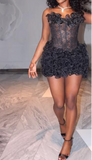 Niulatu Sheath Short Prom Dresses Lace Applique Sexy Birthday Dresses, Black Homecoming Dresses HZ1026
