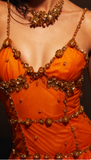 Niulatu Spaghetti Straps Sheath Beaded Tulle Prom Dresses Orange Long Evening Dresses HZ1026