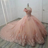 Niulatu Off-the-shoulder Ball Gown Tulle Applique Long Prom Dresses Quinceanera Dresses Pink Sweet 16 Dresss HZ1026