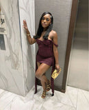 Niulatu Off-the-shoulder Tight Homecoming Dresses, Grape Short Prom Dresses, Lace Birthday Dresses HZ1026