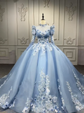 Niulatu Style Ball Gown Tulle Long Prom Dresses Appliqu¨¦ Beading Light Blue Quinceanera Dresses Sweet 16 Dresses HZ1026