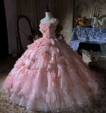 Niulatu Strapless Ball Gown Pink Long Prom Dresses Tulle Applique Pink Quincea?a Dresses Sweet 16 Dress HZ1026
