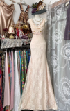 Niulatu Sheath Long Prom Dresses Lace Light Blush Pink Formal Dresses HZ1026