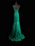 Niulatu V-neck Mermaid Green Long Prom Dresses Beaded Applique Tulle Green Evening Dresses HZ1026