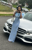 Niulatu Off-the-shoulder Sheath Blue Long Prom Dresses Chiffon Blue Formal Dresses HZ1026