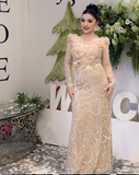 Niulatu Sheath Long Prom Dresses Tulle Sequin Champagne Wedding Guest Dresses HZ1026