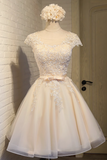 Niulatu A-line tulle lace embroidered homecoming dress, champagne bridesmaid dress HZ1108
