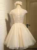 Niulatu A-line tulle lace embroidered homecoming dress, champagne bridesmaid dress HZ1108