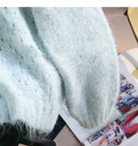 Niulatu Sequined 3D Flower Knitted Sweater HZ1108