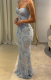 Niulatu Spaghetti Strap Sheath Lace Applique Long Prom Dresses, Blue Formal Evening Dresses HZ1026