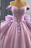 Niulatu Off-the-shoulder Ball Gown Tulle Applique Long Prom Dresses Purple Sweet 16 Dress Quinceanera Dresses HZ1026