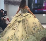 Niulatu Off-the-shoulder Ball Gown Long Prom Dress Green Tulle Applique Quinceanera Dress Sweet 16 Dress HZ1031