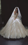 Niulatu White Ball Gown Tulle Wedding Dress Applique Strapless Bridal Gown with Veil HZ1031