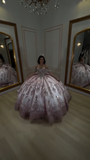 Niulatu Off-the-shoulder Ball Gown Tulle Sequin Long Prom Dresses, Pink Quinceanera Dresses Sweet 16 Dress HZ1026