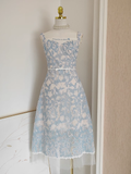 Niulatu A line Straps Sleeveless Blue Lace Party Dress Holiday Birthday Dresses For Women SD361