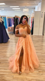 Niulatu Pink Glitter Tulle Appliques Evening Dress with Corset Bodice HZ1007