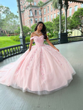 Niulatu Tulle Applique Long Prom Dress Quinceanera Dress Ball Gown HZ0113