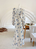 Niulatu Ice Blue Rose Chiffon Print Floral Prom Dress Long Mermaid Evening Dress HZ1007