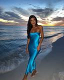 Niulatu Strapless Blue Sheath Prom Dress Evening Dress HZ1007
