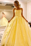 Niulatu Tulle Spaghetti Straps Scoop A-Line Prom Dresses with HZ1007