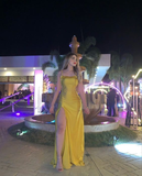 Niulatu Prom Dresses Split Formal Evening Dress HZ1007