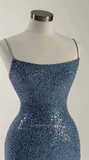 Niulatu Blue Sequins Beaded Sheath Long Prom Dress Formal Evening Dress HZ1007