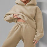 2025 Women's Clothing Pure Color Casual Fashion Sports Pants Two-Piece Set Of Women's Clothing Winter HZ0108