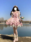 Sweet Ball Gown Lolita Outfits Short Sleeves Pink 16th Birthday Dress Lolita Summer Dress Birthday Outfits HZ1214