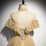 Niulatu line Tulle Long Prom Dresses HZ0113