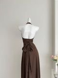 Sexy Sheath Halter Summer Brown Long Dress Holiday Party Outfits For Women HZ1214
