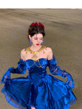 Niulatu French High Low Sweetheart Christmas Dress Royal Blue Birthday Dresses Birthday Outfits SD1147