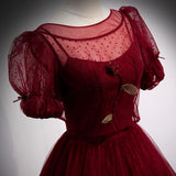 Niulatu Line Red Long Prom Dresses HZ0113