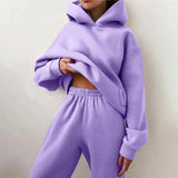 2025 Women's Clothing Pure Color Casual Fashion Sports Pants Two-Piece Set Of Women's Clothing Winter HZ0108