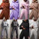 2025 Women's Clothing Pure Color Casual Fashion Sports Pants Two-Piece Set Of Women's Clothing Winter HZ0108