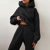 2025 Women's Clothing Pure Color Casual Fashion Sports Pants Two-Piece Set Of Women's Clothing Winter HZ0108