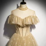 Niulatu line Tulle Long Prom Dresses HZ0113