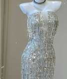 Classy Sheath Strapless Silver Sequin Evening Dress Long Prom Dresses HZ1214